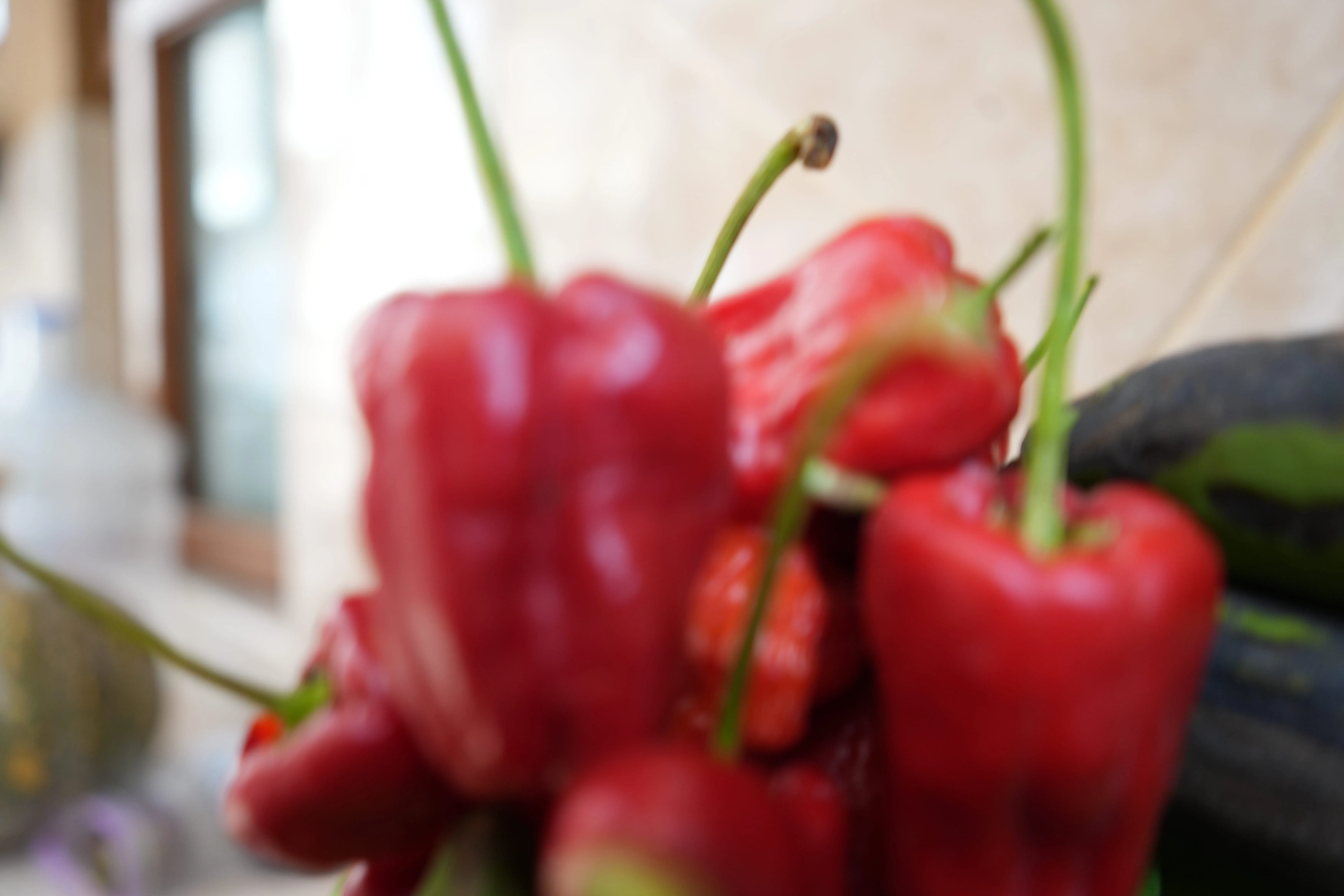 Habanero Peppers • 1 KG